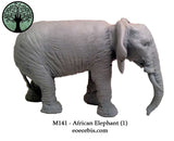 M141 - African Elephant (1)