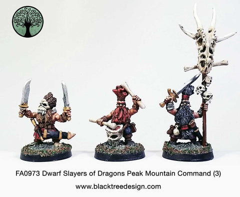 FA0973 - Dwarf Slayers of Dragons Peak Mountain Command (3)